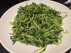 -纯阳•六两酒馆