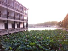 -洪湖生态旅游区