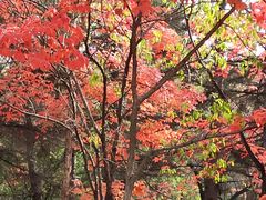 -长春市南湖公园