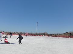 -绿野森林乐园冰雪季