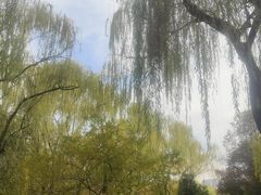 -城市运动公园(未央区)