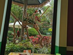 -美食小镇·观赏珍稀鸟类·长隆熊猫酒店
