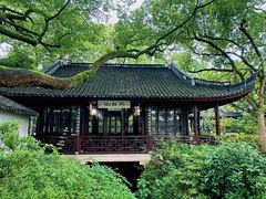 -上海醉白池公园