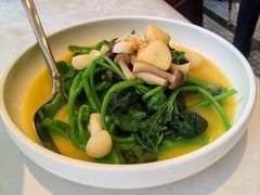 红薯叶-海味观(老西门店)