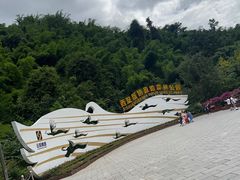 -西双版纳原始森林公园