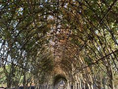 -武汉紫薇都市田园