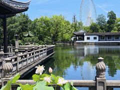 -无锡蠡湖国家湿地公园-蠡园