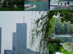 -天鹅湖体育公园