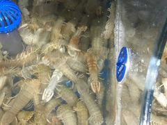 -宾朋海鲜特色美食餐厅·纯手工鲅鱼水饺(兴海路店)