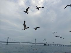 -星海广场
