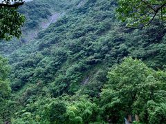 -白云源风景区
