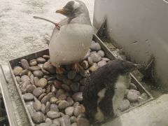 -大连圣亚海洋世界