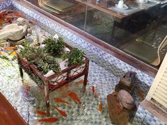 -向阳庄烧烤店(望京西园店)