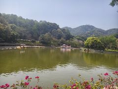 -广州市帽峰山景区