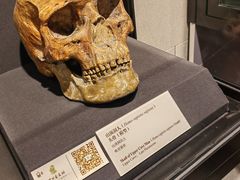 -北京周口店北京人遗址博物馆