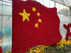 -上海鲜花港