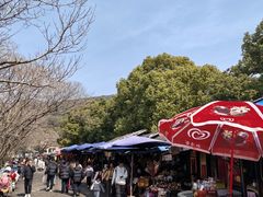 -灵岩山风景区