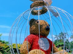 -三亚亚龙湾天域度假酒店