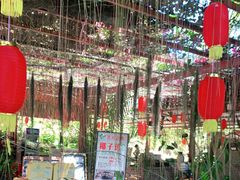 -万兴启丰椰子文化园餐厅