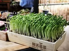 活豆苗-湊湊火锅·茶憩(上海合生汇店)
