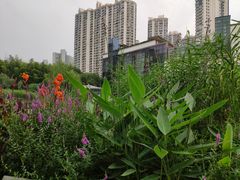 -苏州河梦清园环保主题公园