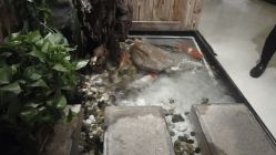 -至爱至信新中式SPA疗愈会所