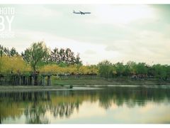 -东郊湿地公园