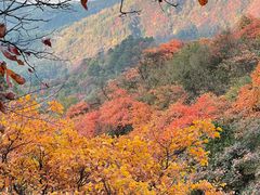-秦岭终南山世界地质公园翠华山景区