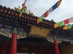 -骏途旅游
