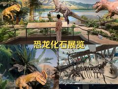 -天津自然博物馆