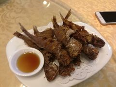 -白家餐厅(徐家汇店)