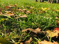 -汉长安城未央宫国家考古遗址公园