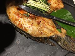 -云海肴·汽锅鸡·云南菜(天津国金汇店)