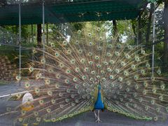 -福建鲤鱼洲酒店