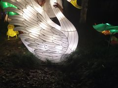 -昆山城市生态森林公园