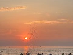 -威海国际海水浴场旅游区