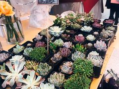 -茶马花街(城西银泰城店)