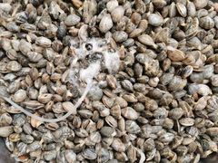 -晓伟海鲜家常菜