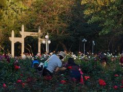 -人民公园(罗湖区)