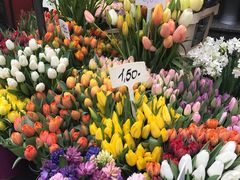 -斯蒂芬主教座堂(Stephansdom)