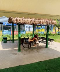 -萌宠亲子动物乐园(槐房万达店)