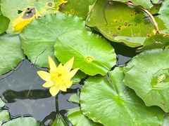 -天鹅湖体育公园