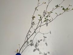 -intime coffee(芝麻街店)