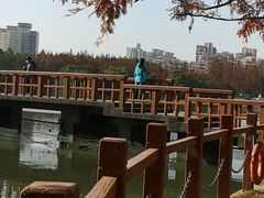-黄兴公园