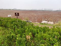 -东丽湖风景区
