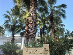 -福田红树林生态公园