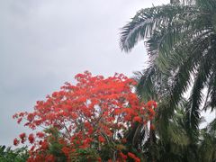 -海南热带野生动植物园