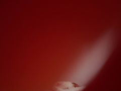 -大河宴椒麻鱼(嘉和园店)