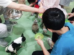 -藦茜花园宠物主题亲子互动体验馆(国顺东路店)