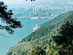 -铁山坪森林公园